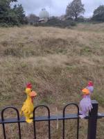 /home//u458753944/public_html/sourcegallery//other/uk 2023/london/IMG_20230919_145858069.jpg